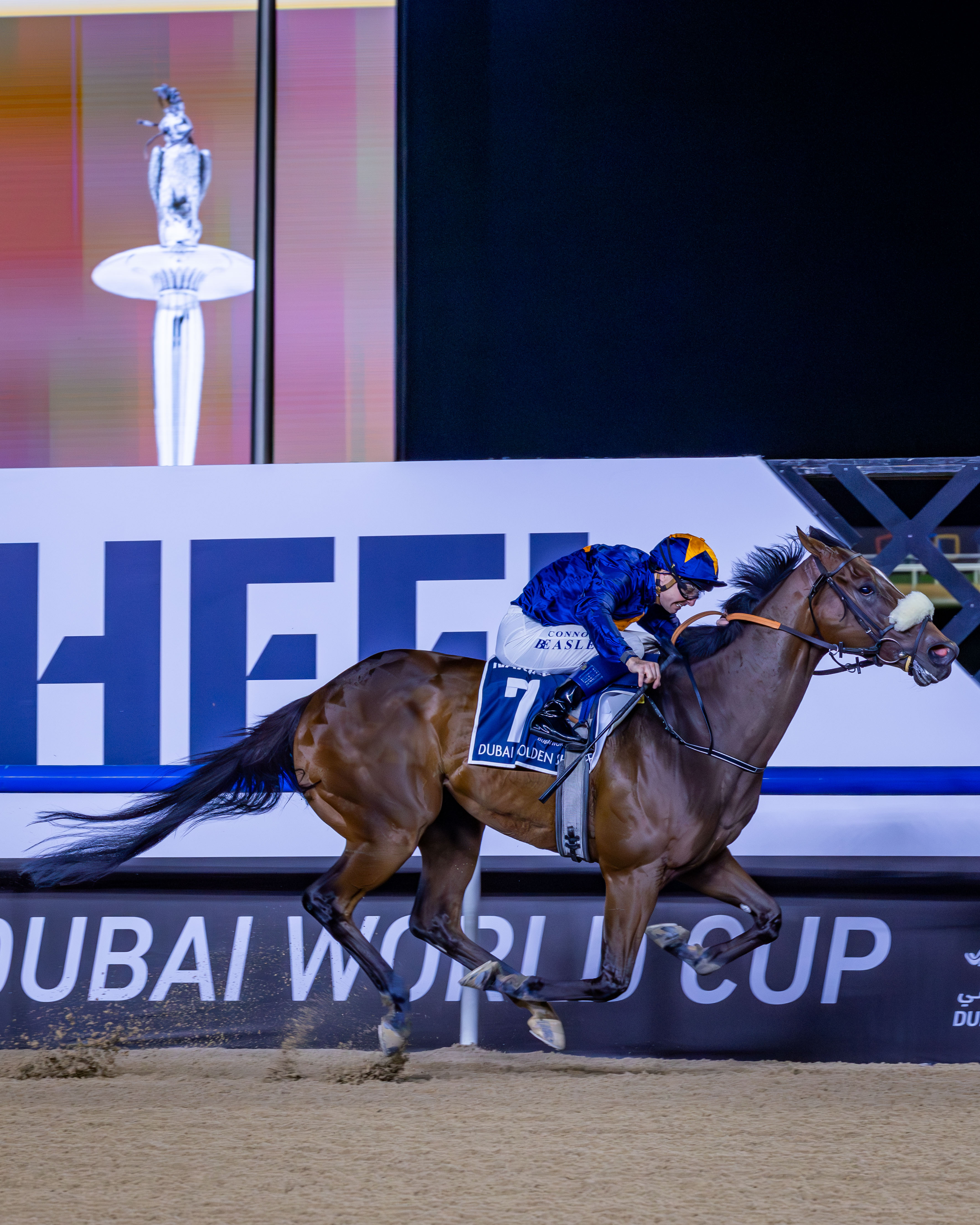 Dark Saffron avec le jockey Connor Beasley lors d’une course à Dubaï.