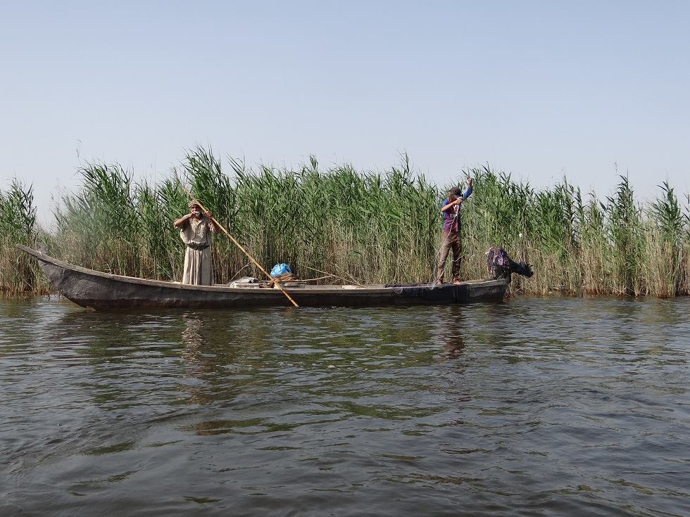 A traditional boat in the Iraqi marshes; transport and guiding are among the services associated with visits to natural environments.