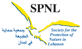  SPNL