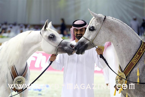 مرهف العساف 10
