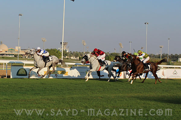 مهرجان منصور 6