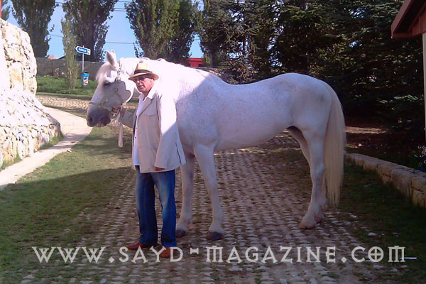 فارس بويز 8
