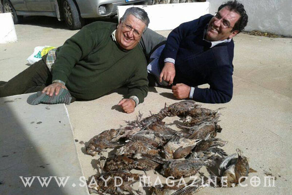 بيار شمعون 1