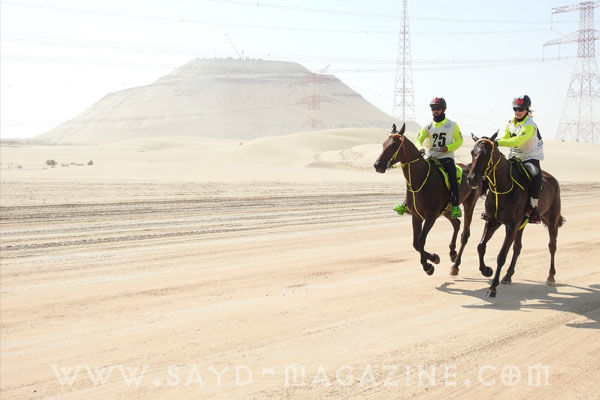 مهرجان منصور 11
