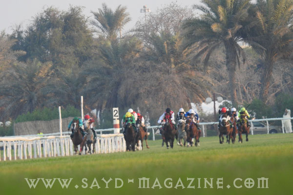 مهرجان منصور 4