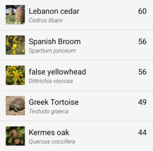 صورة أرشيفية ضمن مقال: الطبيعلوجيا تُقدِّم: تطبيق "iNaturalist" نافذةٌ مجّانيةٌ على عالمِ الكائناتِ الحيّةِ — مجلة صيد