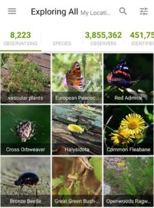 صورة أرشيفية ضمن مقال: الطبيعلوجيا تُقدِّم: تطبيق "iNaturalist" نافذةٌ مجّانيةٌ على عالمِ الكائناتِ الحيّةِ — مجلة صيد