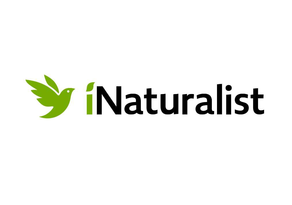 صورة أرشيفية ضمن مقال: الطبيعلوجيا تُقدِّم: تطبيق "iNaturalist" نافذةٌ مجّانيةٌ على عالمِ الكائناتِ الحيّةِ — مجلة صيد