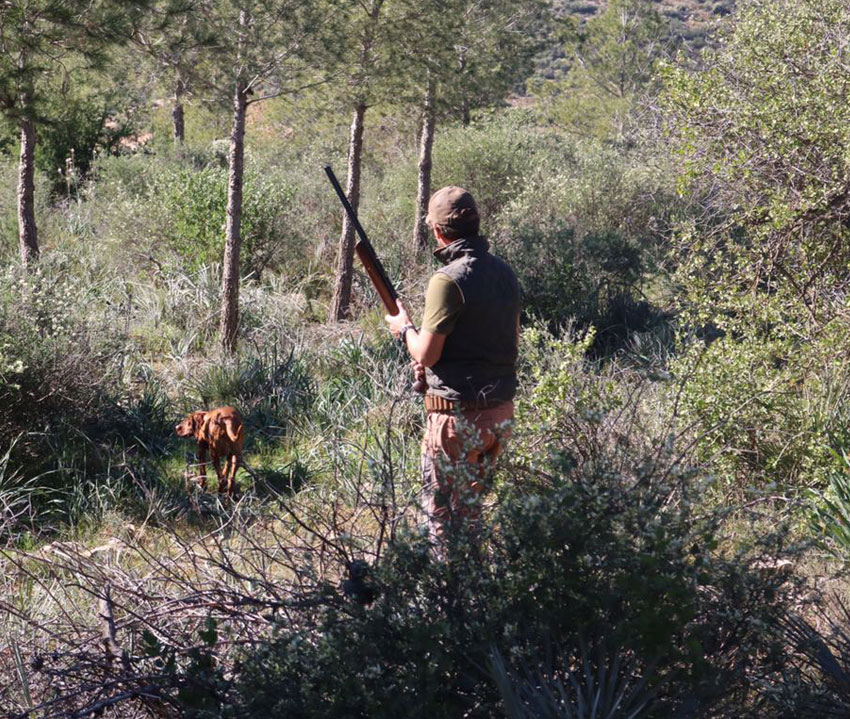 Hunter with dog and shotgun in Moroccan mountain scrub