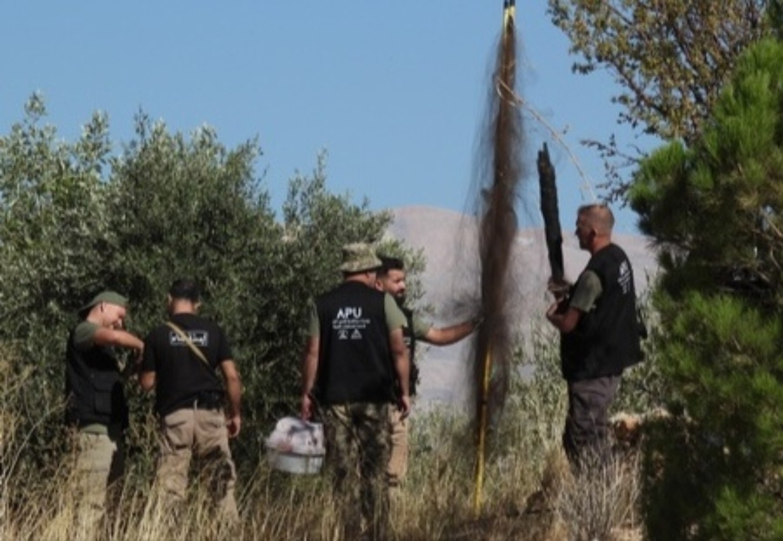 Retrait de hauts filets installés entre les arbres.
