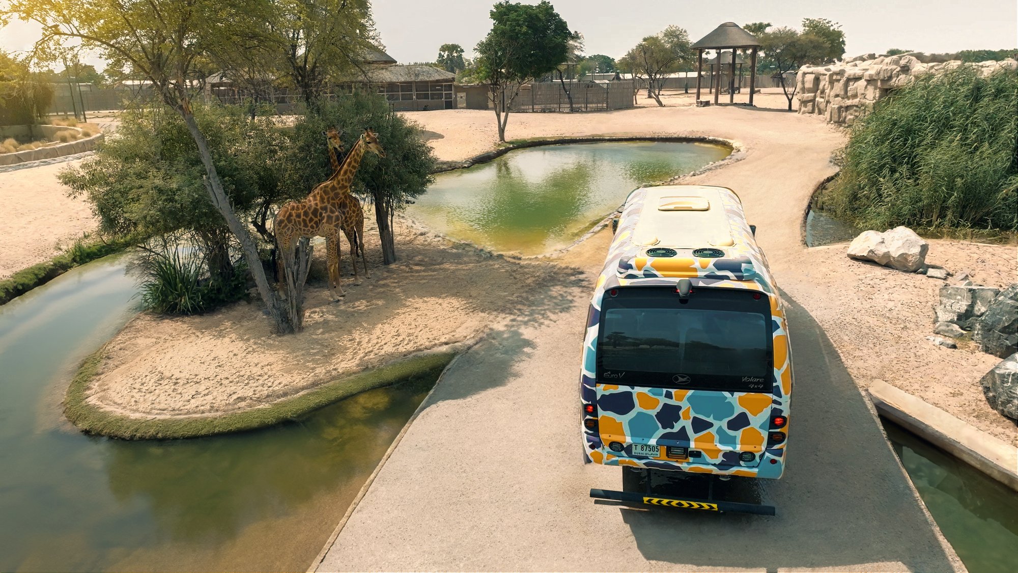 A safari bus passes giraffes at Dubai Safari Park, in an archive photograph.