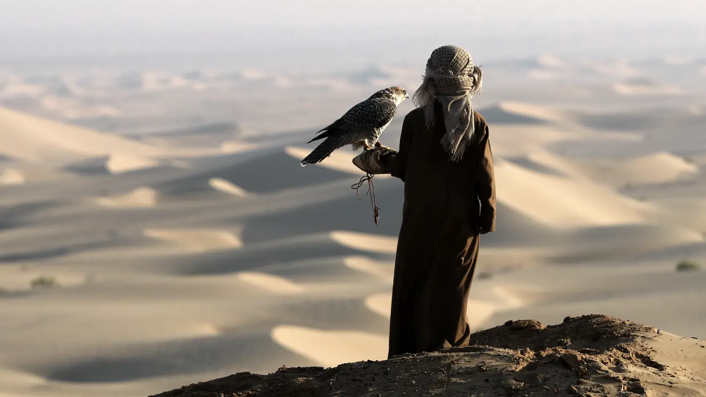 صقّار يحمل صقرًا أمام الكثبان الرملية في محمية المرزوم بأبوظبي. صورة منشورة ضمن تغطية موسم 2023–2024.