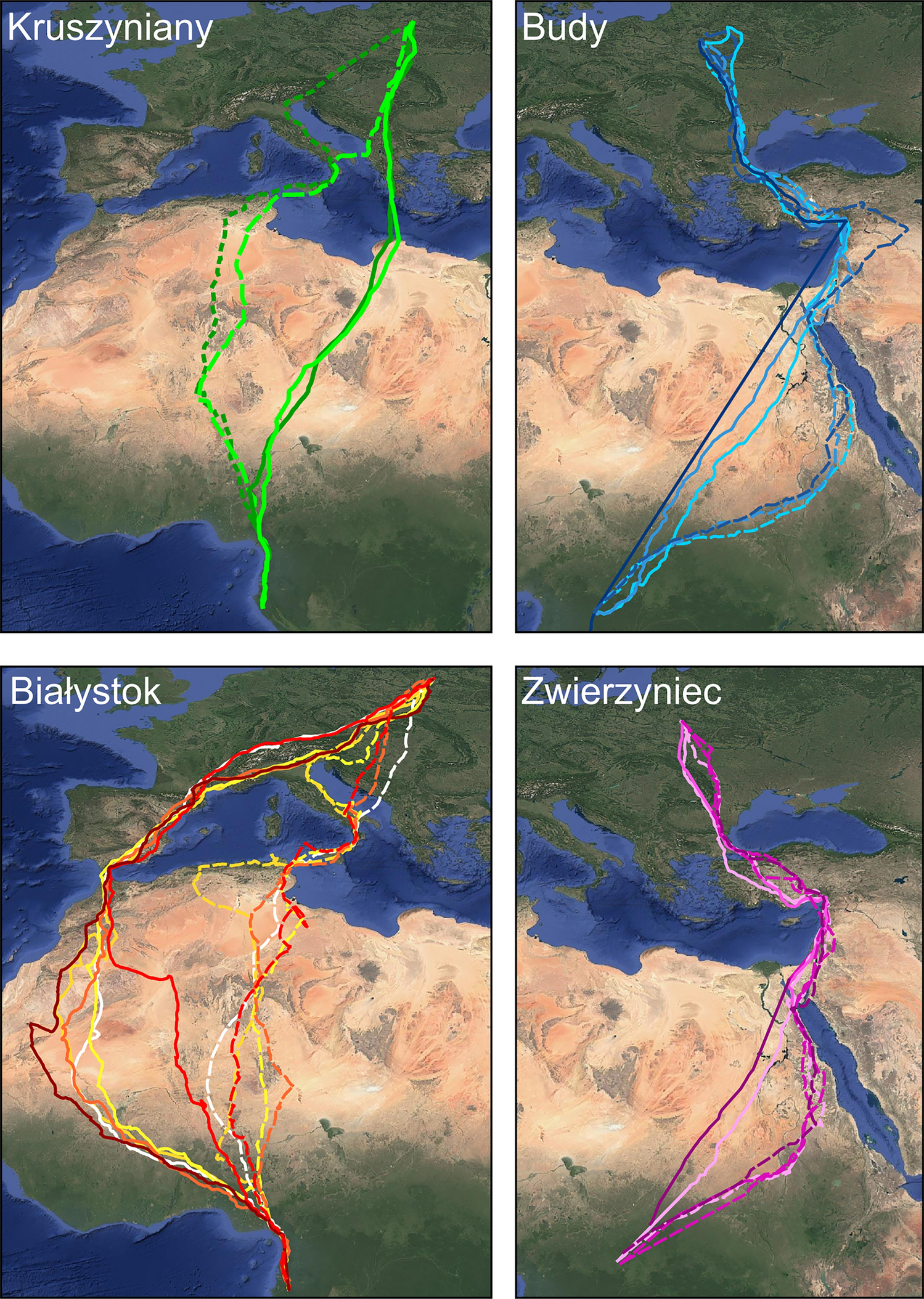Variation in journey routes among individual European honey-buzzards.