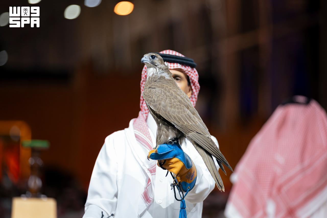 A falcon presented at the Mongolian falcon auction within the exhibition.
