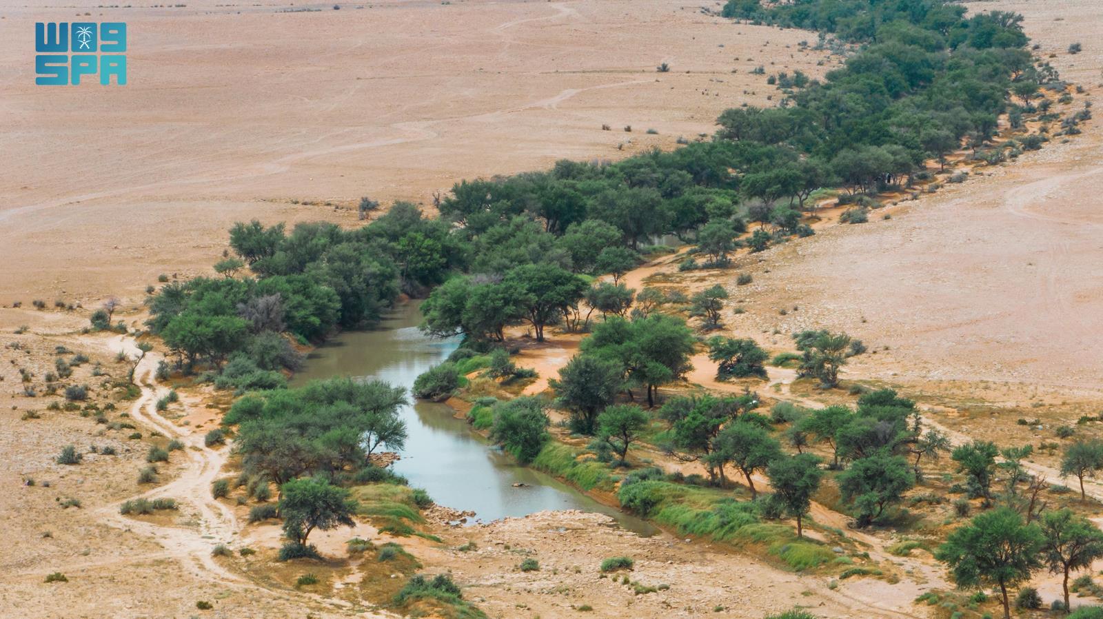 Un oued et un cours d’eau dans la réserve royale du roi Abdelaziz, sur une photographie d’archives.