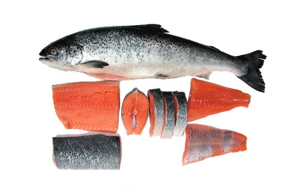 اصطادي وتناولي الأسماك الدهنية لانها عدوة سرطان الثدي