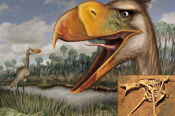 طائر مفترس عمره 3.5 مليون عام