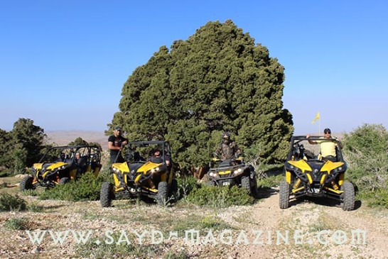 الفريق أمام أكبر شجرة لزاب معمرة في  العالم.