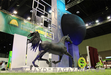 مهرجان الشيخ منصور بن زايد للخيول العربية أيقونة معرض الصيد والفروسية