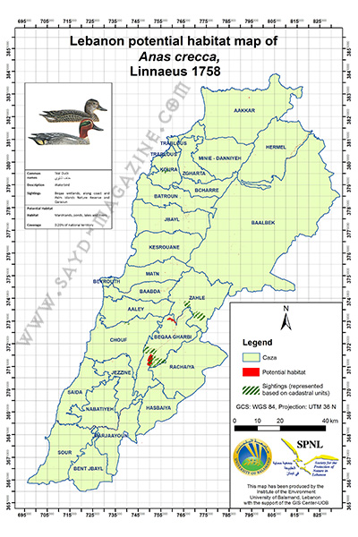 خرائط تواجد طريدة البط بأنواعه في لبنان