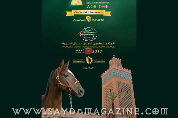 مهرجان منصور بن زايد صفة من صفات الحصان العربي الاصيل ... والمغرب غدا ..