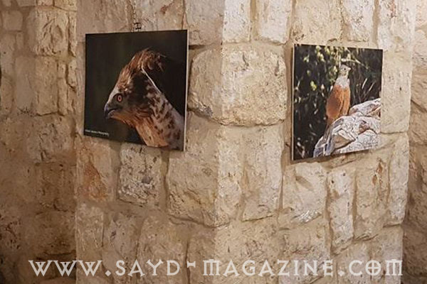معرض صيد الربيع - صيد العدسة في قرية بدر حسون التراثية ما زال يستقبل الضيوف