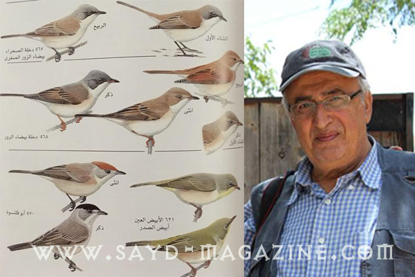 مطالعة علمية وقانونية حول إمكانية ضم التيان والترغل إلى الطيور المسموح صيدها وحول أطالة فترة الصيد -