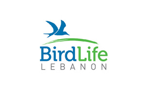 Bird Life