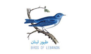 Birds of Lebanon