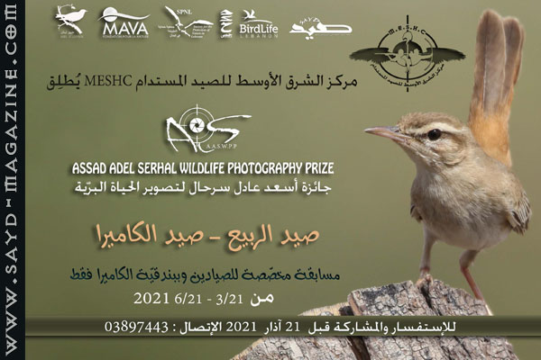 جائزة أسعد عادل سرحال لتصوير الحياة البرية، قنص ببندقية الكاميرا وجوائز قيمة