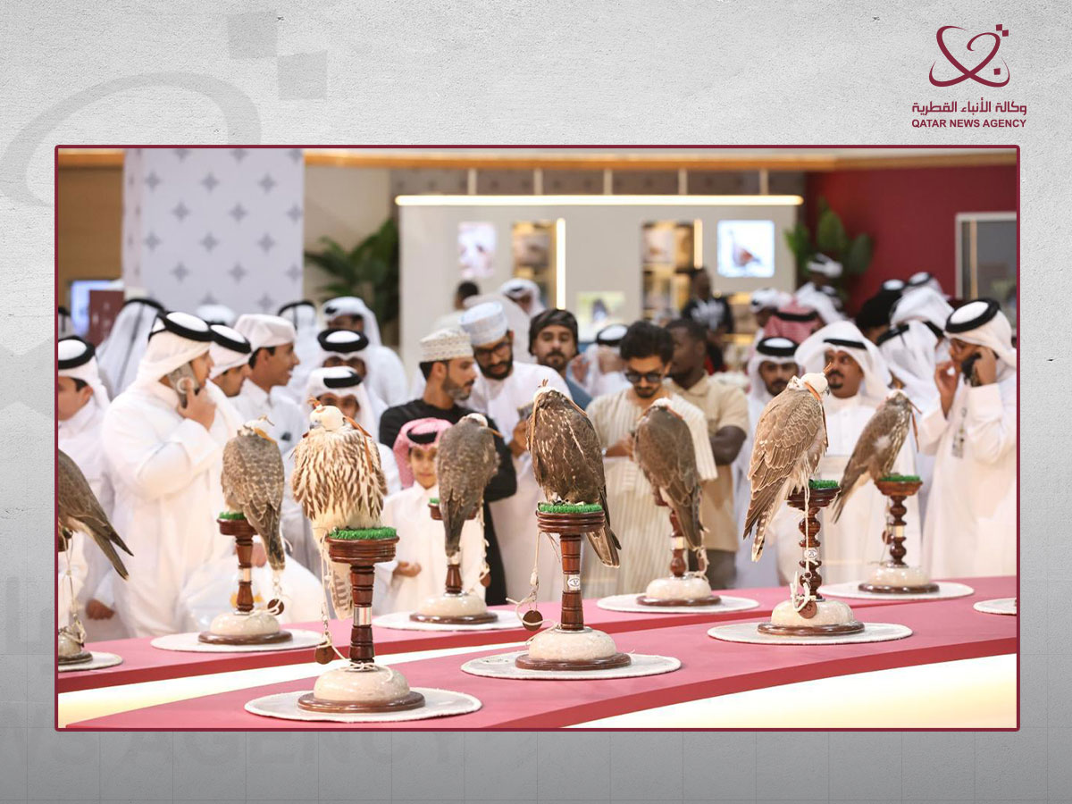 الصقور في معرض سهيل 2026
