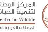 السعودية تطلق موسم الصيد السادس بضوابط تعزز الصيد المستدام